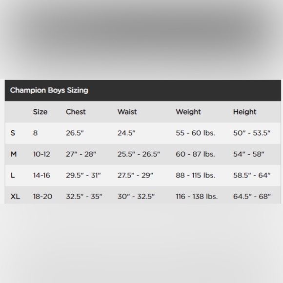 Champion Hoodie Big Kids Boys Sweatshirt Fleece Classic Script Logo Large 14-16 - Picture 2 of 4